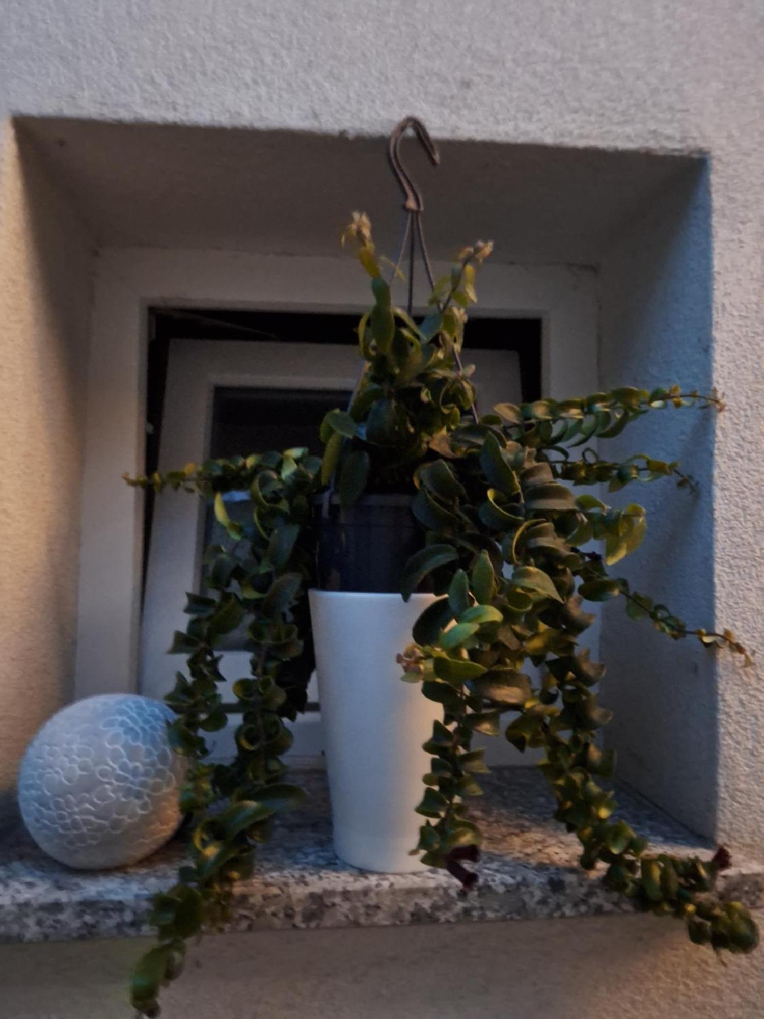 Studio Apartmani Louis I Lola Zagreb Exterior photo